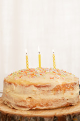 Whole Vanilla Cake with Sprinkles and three yellow candles