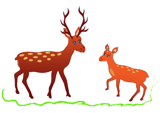 Illustration of a deer with antlers and chick fawn. Vector.