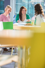 Group of university students studying hard for an exam in a lovely bright sunlit studying room/library