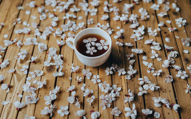 White large cup with fragrant, flowered black tea on a wooden background, decorated with apricot petals. Breakfast, health, herbal therapy, healthy food. Concept and composition.