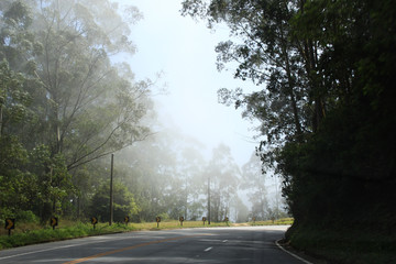 Campos do Jord&atilde;o is tourist city of S&atilde;o Paulo very sought after in the winter by cold climate and European influence
