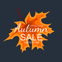 Abstract Vector Illustration Autumn Sale Background with Falling Autumn Leaves