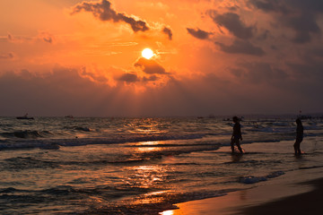 Fototapeta premium People walking near the sea at sunset.