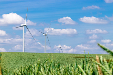 Wind turbines on a green wheat field