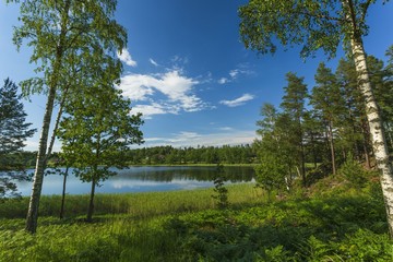 Fototapeta na wymiar Beautiful view of lake landscape surrounded with green forest trees and plants. Blue sky reflecting in mirror water surface. sweden. Europe. Scandinavia.