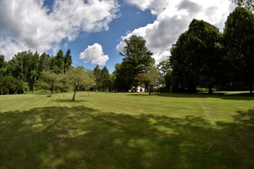 Obraz premium Back yard with blue sky and clouds