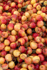 Pile of ripe cherries ready to be sold