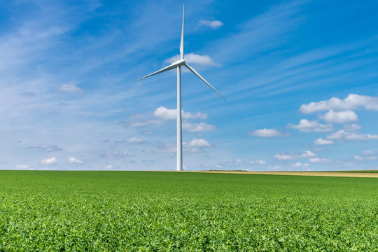 Wind turbines on a green wheat field