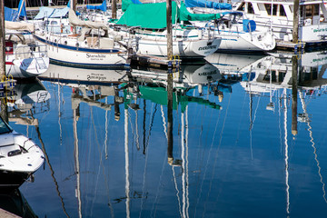 Boats in a marina