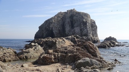 Fototapeta na wymiar landscape of rocky beach and nature
