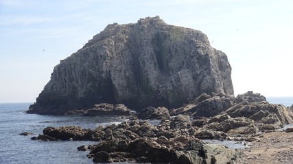 landscape of rocky beach and nature