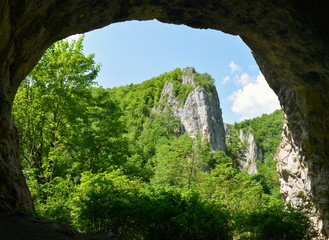 landscape from Varghis gorges - Romania