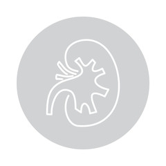 Vector kidneys icon in circle