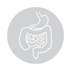 Intestines and ctomach icon in circle