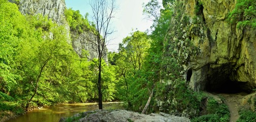 Fototapeta premium Varghis canyon - Romania
