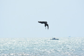 Fishing from the land and Sea