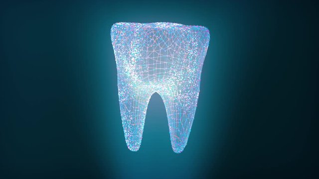 Hologram Screen of Molar Tooth