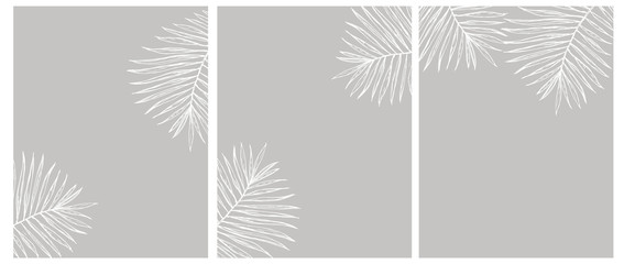 Set of 3 Palm Leves Vector Illustration. White Palm Tree Leaf Isolated on a Gray Background. Simple Elegant Wedding Cards. Floral Hand Drawn Arts. Illustration Without Text.