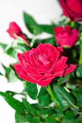 Bouquet of red roses. Flowers. Floral background for congratulations on mother's day, on March 8, for a birthday