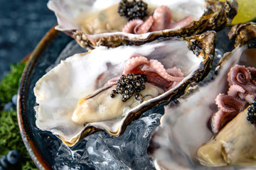Fresh oysters with black sturgeon caviar and octopuses in a luxurious serving in blue ceramic plates with ice, lime. Michelin restaurant.