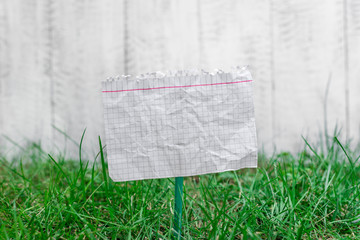 Crumpled paper attached to a stick and placed in the green grassy land