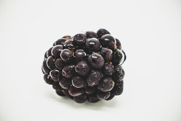 fresh blackberries isolated on white background