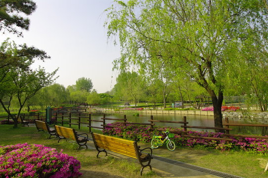 용산가족공원. 조류, 새. 공원. 휴식. 