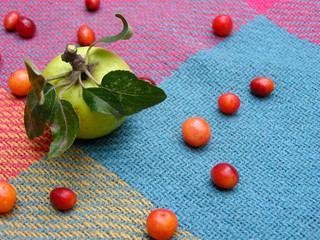 Apple and viburnum berries on a picnic coverlet