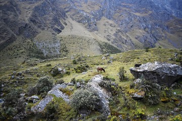 Andean mountain scenery along the Salkantay trek to Machu Picchu, Peru.