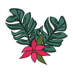 tropical floral botanical environment cartoon