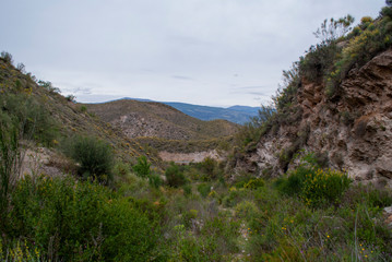 barranco en primavera 