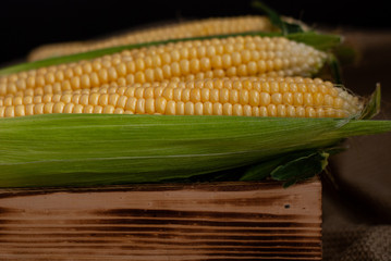 Yellow sweet raw corn in a wooden box on textile background close up