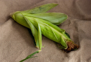 Yellow sweet raw corn with green leaves on a packcat on a textile background close-up.