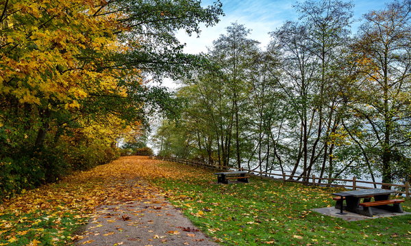 Autumn landscape in a park with an area equipped with picnic tables and a hiking trail strewn with yellow fallen leaves against a cloudy sky. Photo was taken on Acadia Beach, Vancouver, Canada