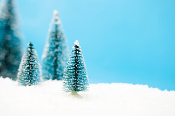Bottle brush Christmas tree in snow with blue background.