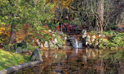 Fototapeta na wymiar A beautiful autumn day, a pond in the city park, a reflection of trees and stones in the water, fallen orange leaves on the mirror surface of the water. New Westminster British Columbia, Canada