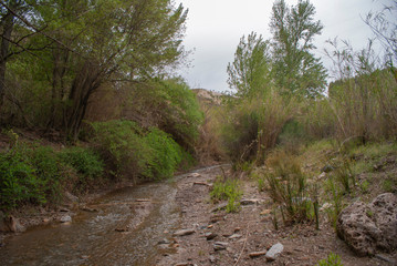 Fotos tomadas desde diferentes puntos en el río Yator