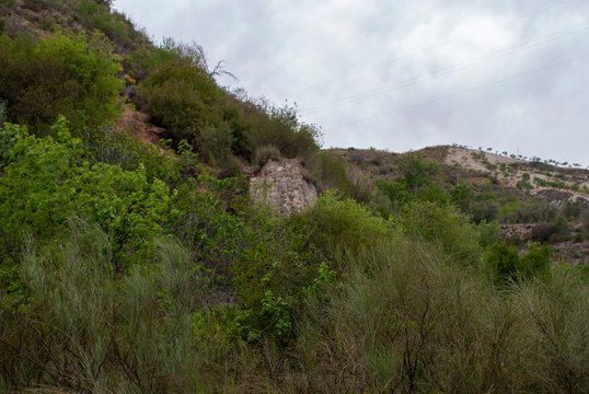 ruinas del molino del tio Juan Tobas
