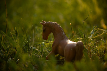 brown horse in the green grass, animal wild, plastic toys, nature background