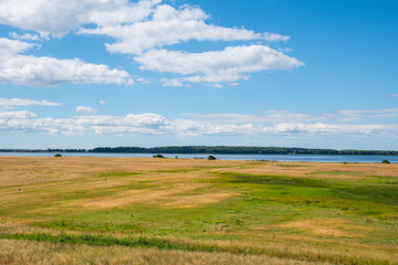 Fototapeta na wymiar View over a nature field in Avno in Denmark