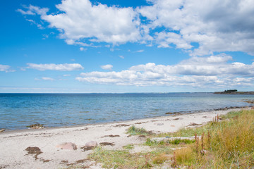 Fototapeta na wymiar View towards te sea from Svino beach on the Danish countryside