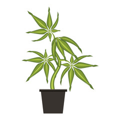 cannabis martihuana sativa hemp cartoon