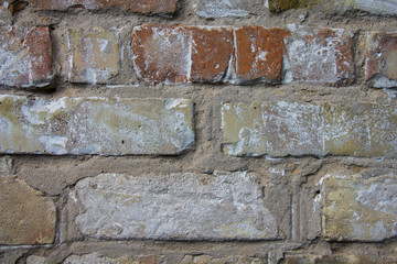 Brick wall . cement. looks like background