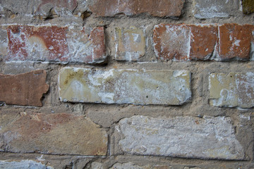 Brick wall . cement. looks like background