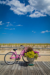Pink bicycle on boardwalk with potted flower plant on a bright summer day