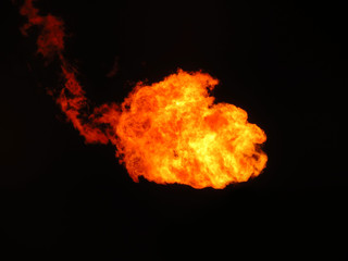 Blaze fire flame texture background. Fire flames collection isolated on black background.