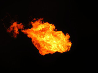 Blaze fire flame texture background. Fire flames collection isolated on black background.