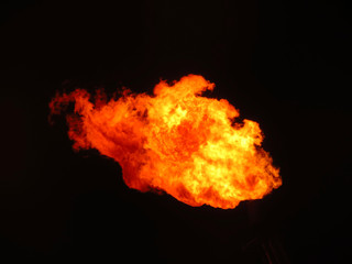 Blaze fire flame texture background. Fire flames collection isolated on black background.