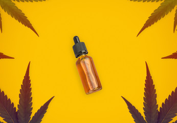 cannabis sativa leafs forming a frame and Cannabis CBD oil bottle Isolated on orange background