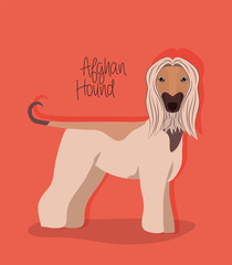 cute afghan hound dog pet character